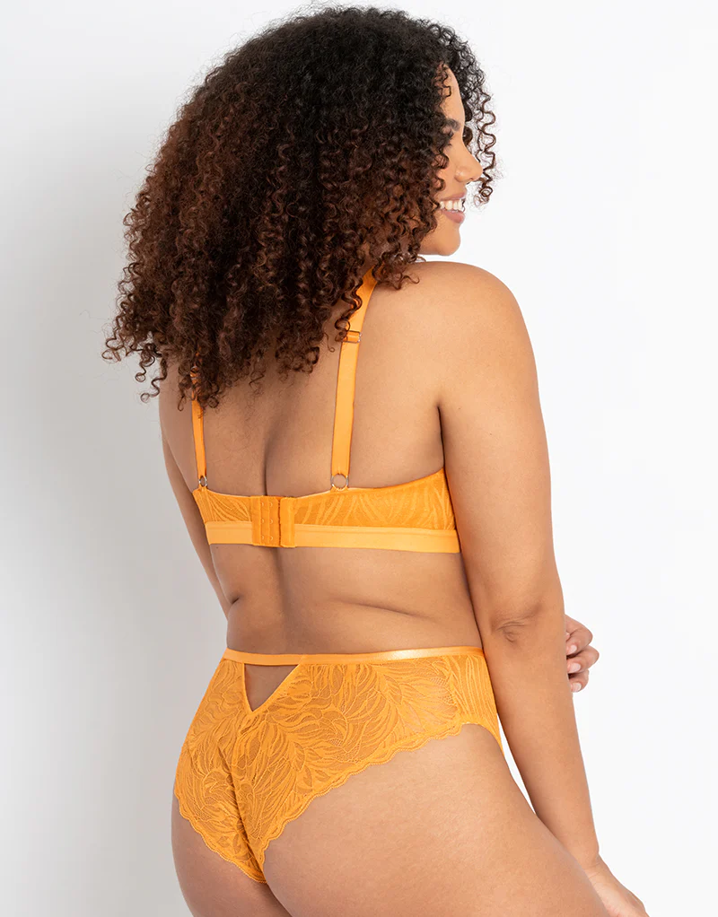 Curvy Kate Lace Daze Non-Wired Bralette Mango - Image 6