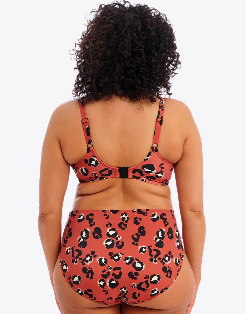 Elomi Kotiya Plunge Bikini Top Terracotta - Image 5