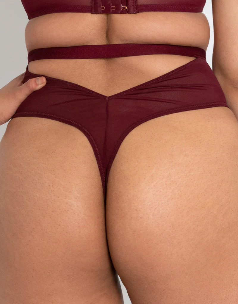 Scantilly Buckle Up Thong Oxblood - Image 3