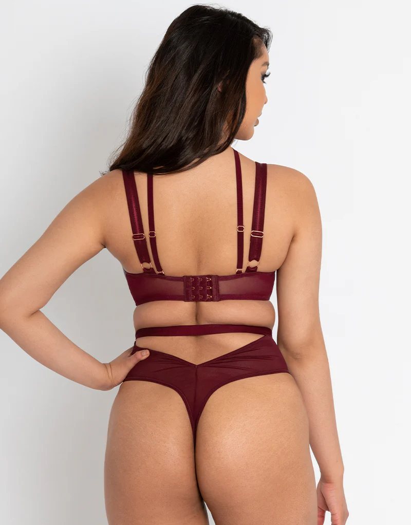 Scantilly Buckle Up Thong Oxblood - Image 6