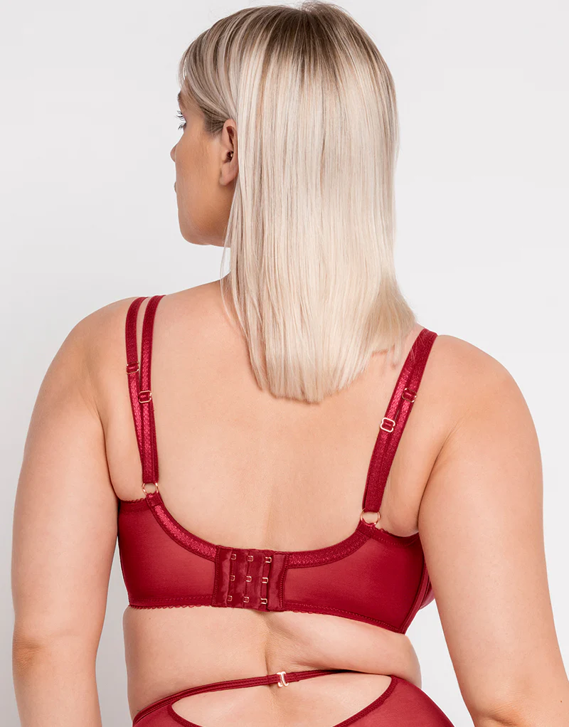 Scantilly Fallen Angel Balcony Bra Garnet Red - Image 5