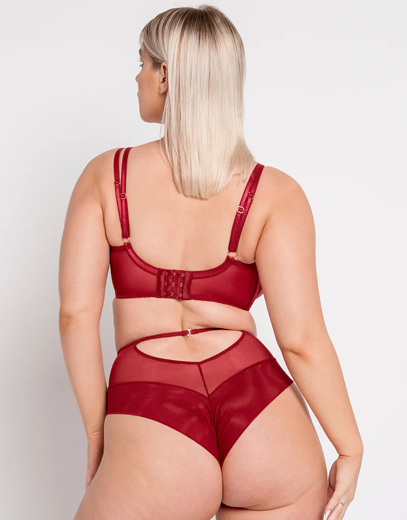 Scantilly Fallen Angel Balcony Bra Garnet Red - Image 6