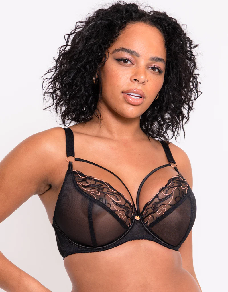Scantilly Fascinate Plunge Bra Black - Image 3