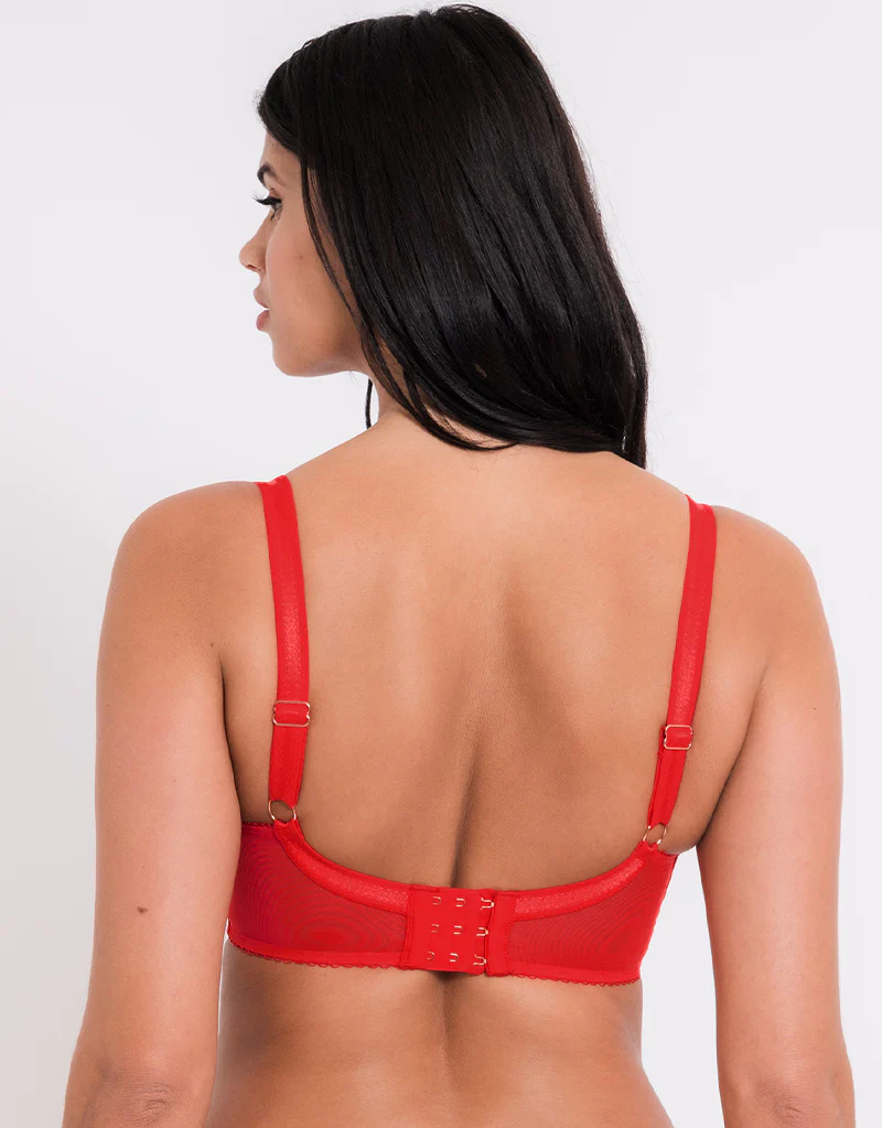 Scantilly Fascinate Plunge Bra Poppy Red - Image 5
