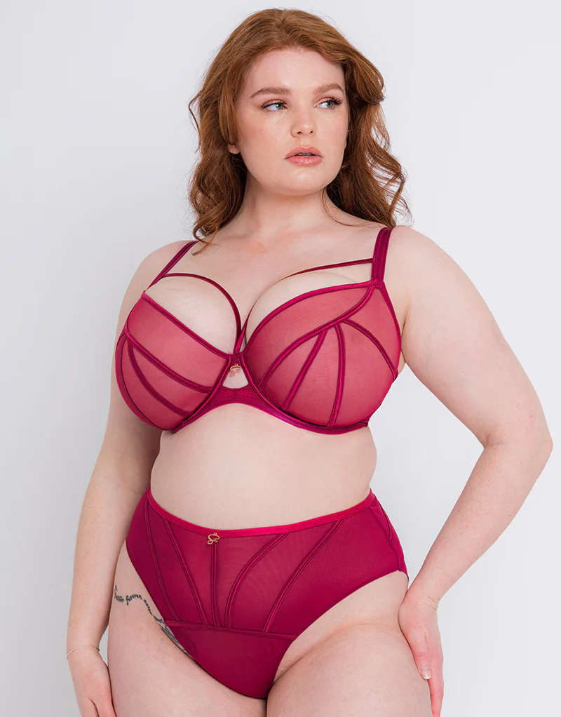 Scantilly Senses High Waist Brief Cherry - Image 3