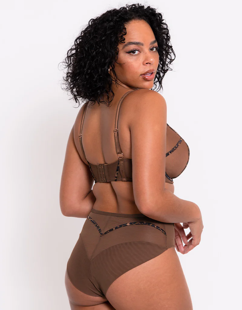 Scantilly Senses High Waist Brief Leopard Brown - Image 3