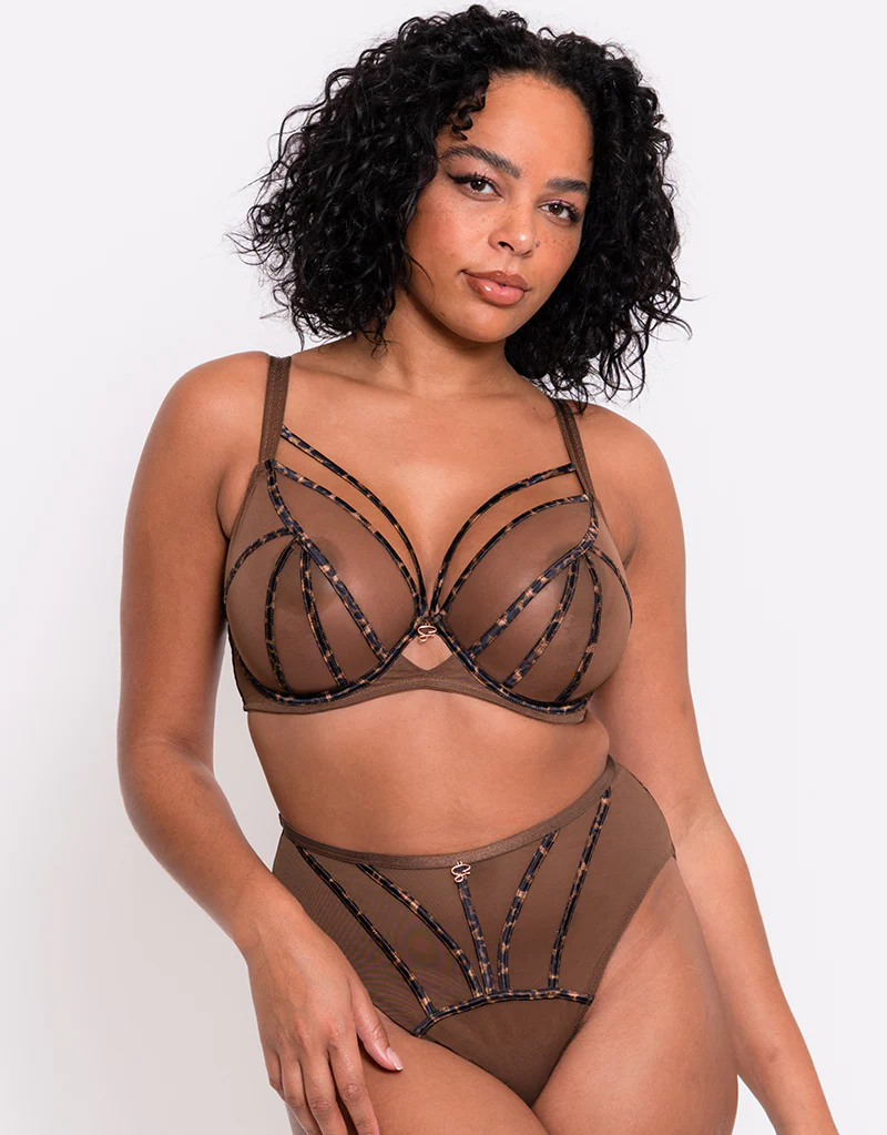Scantilly Senses High Waist Brief Leopard Brown - Image 4