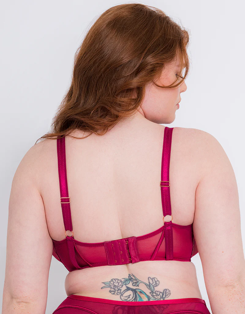 Scantilly Senses Plunge Bra Cherry - Image 5
