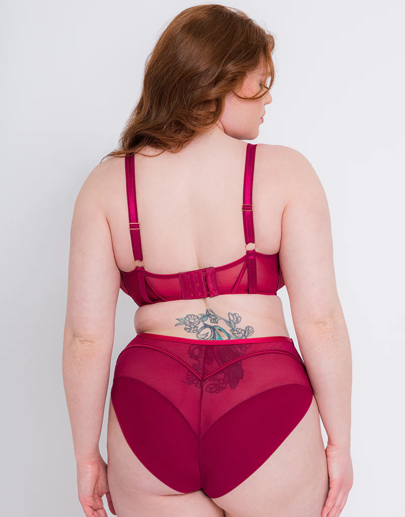 Scantilly Senses Plunge Bra Cherry - Image 6