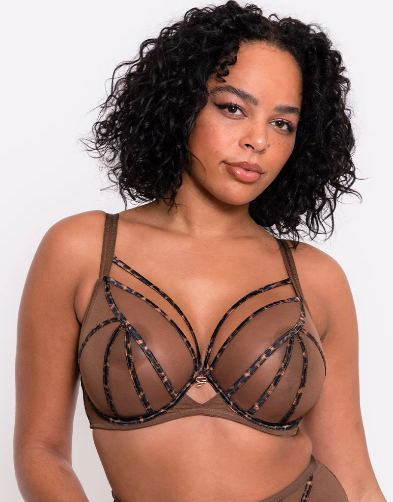 Scantilly Senses Plunge Bra Leopard Brown - Image 3