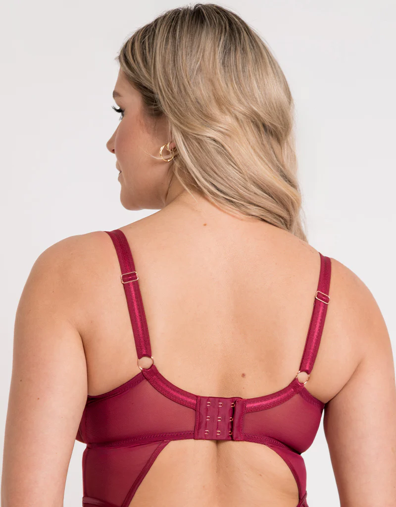 Scantilly Suspense Plunge Bodysuit Sangria - Image 4