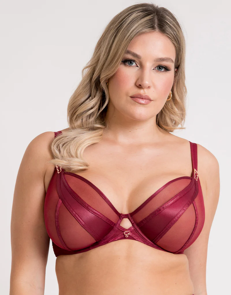 Scantilly Suspense Plunge Bra Sangria - Image 3