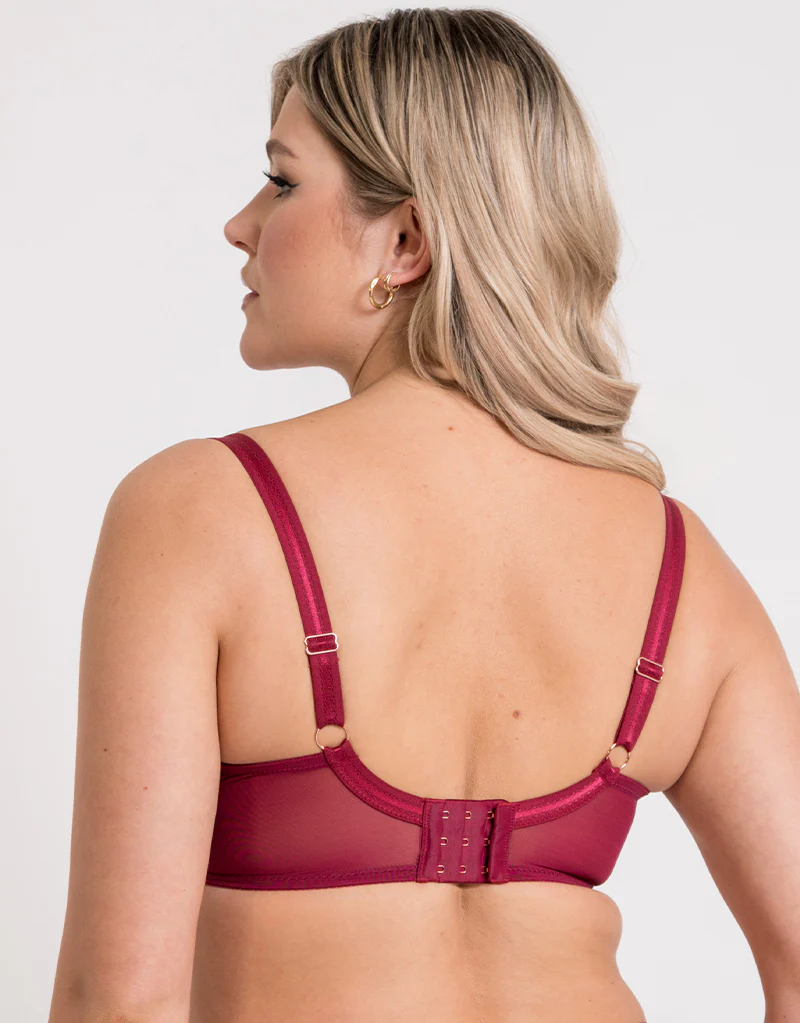 Scantilly Suspense Plunge Bra Sangria - Image 5